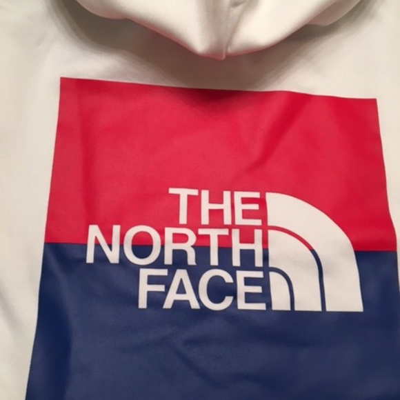THE NORTH FACE Surgent Pullover Hoodie Men’s